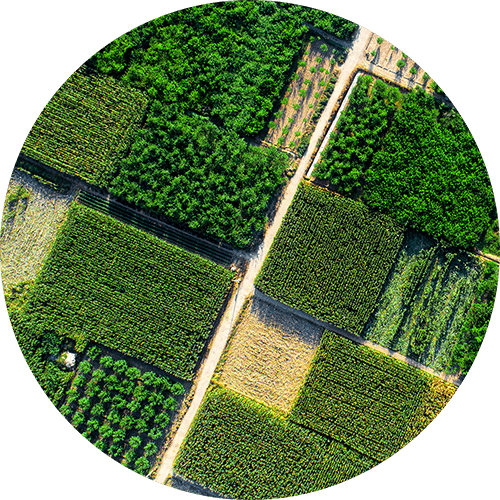precision_agriculture